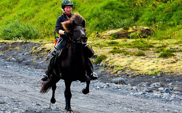 Sommerprogrammet p Island er klar